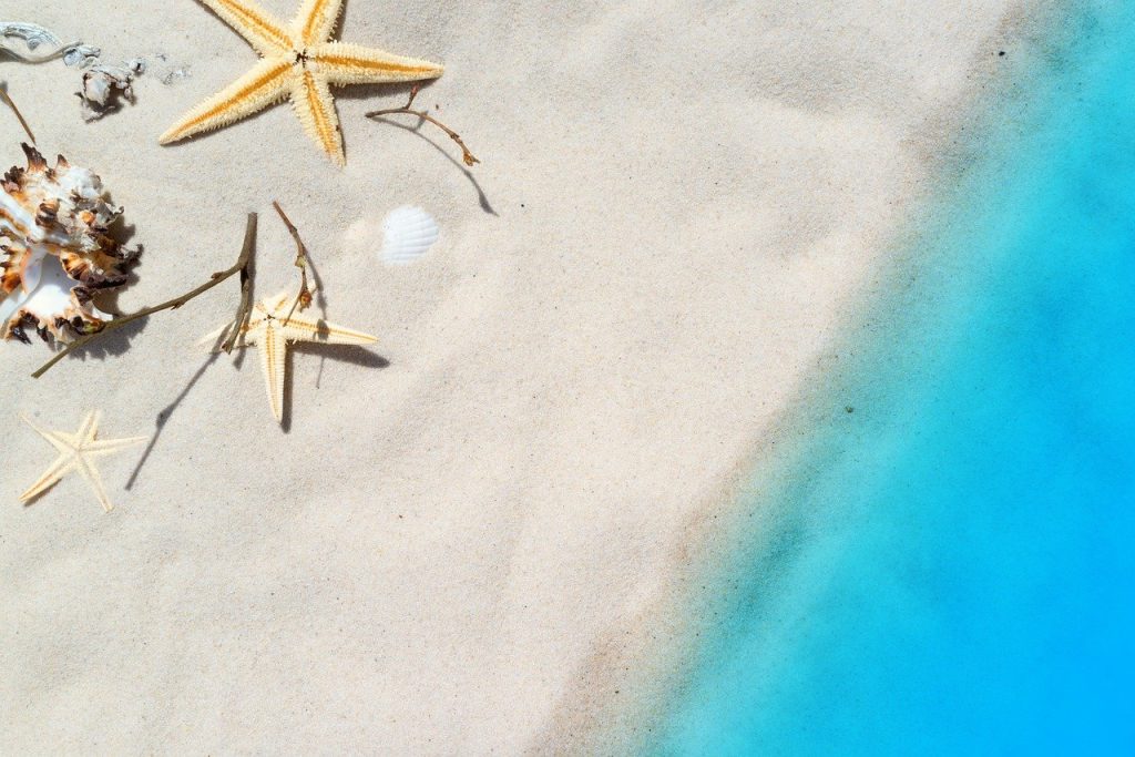 A beach seen from above, clear waters, starfish on the sand